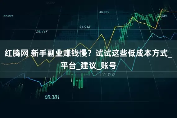 红腾网 新手副业赚钱慢？试试这些低成本方式_平台_建议_账号