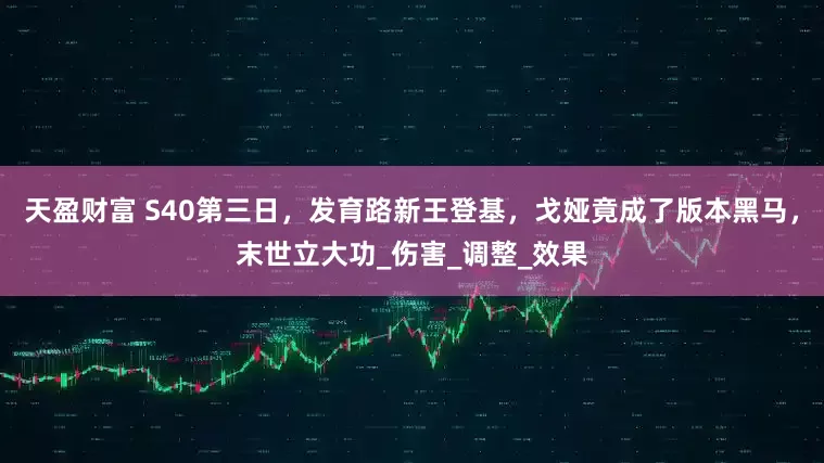 天盈财富 S40第三日，发育路新王登基，戈娅竟成了版本黑马，末世立大功_伤害_调整_效果