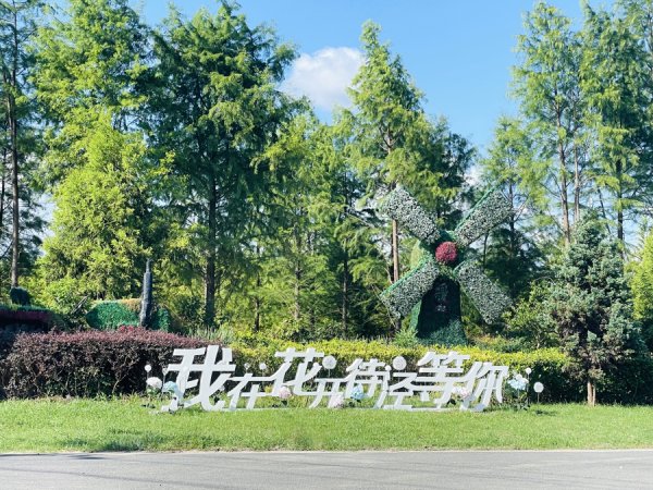 华融资产 从 “穷村” 到 “网红村”，沪郊待泾村靠这些接住乐高乐园流量